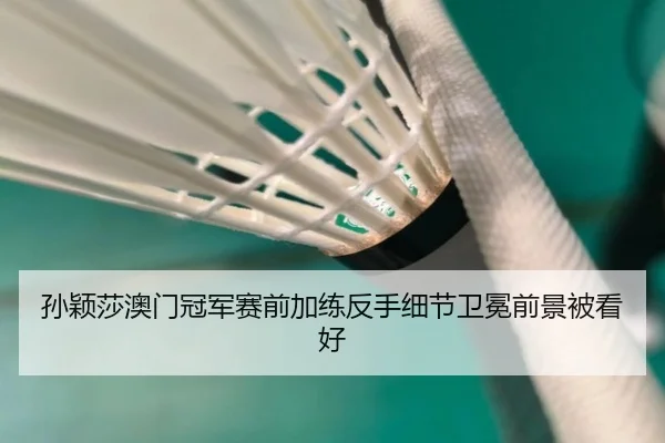孙颖莎澳门冠军赛前加练反手细节卫冕前景被看好（3377SPORTS）